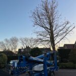 Foto Website Alleengroen.nl 2