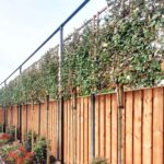 Foto Website Alleengroen.nl 5