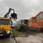 Foto website www.snijdershoveniers 21