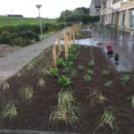 Foto website www.snijdershoveniers 48