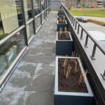 Foto website www.snijdershoveniers 9